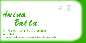 amina balla business card